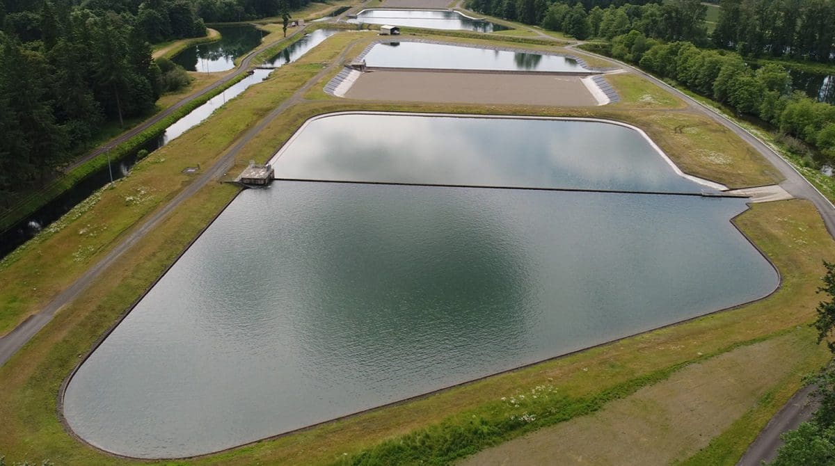 Geren Island ponds