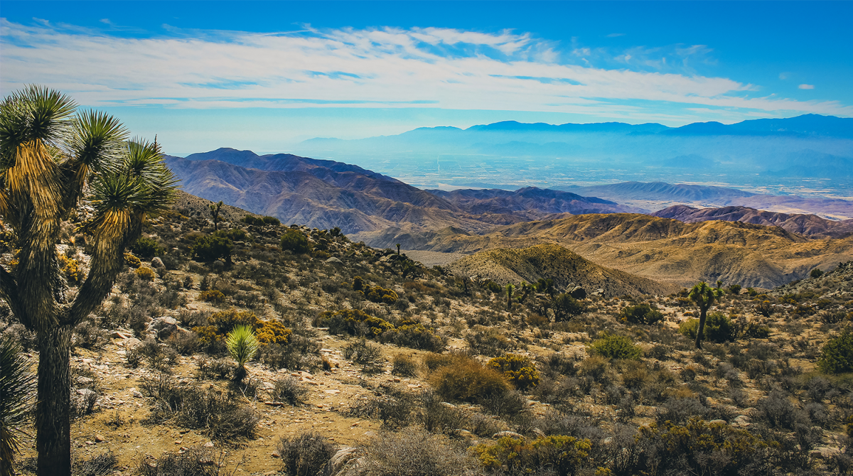 Featured image for Cal Water Climate Change Risk Assessment