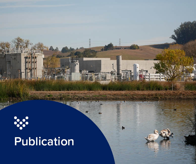 Review of industrial chemicals impacting potable reuse: Hazards, removal, and recommendations for enhanced source control programs Thumbnail Image