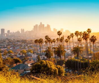 photo of downtown los angeles from the hollywood hills, representing Carollo Engineers work in and around the city.